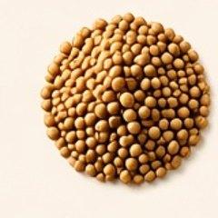 Cumin whole — 100g